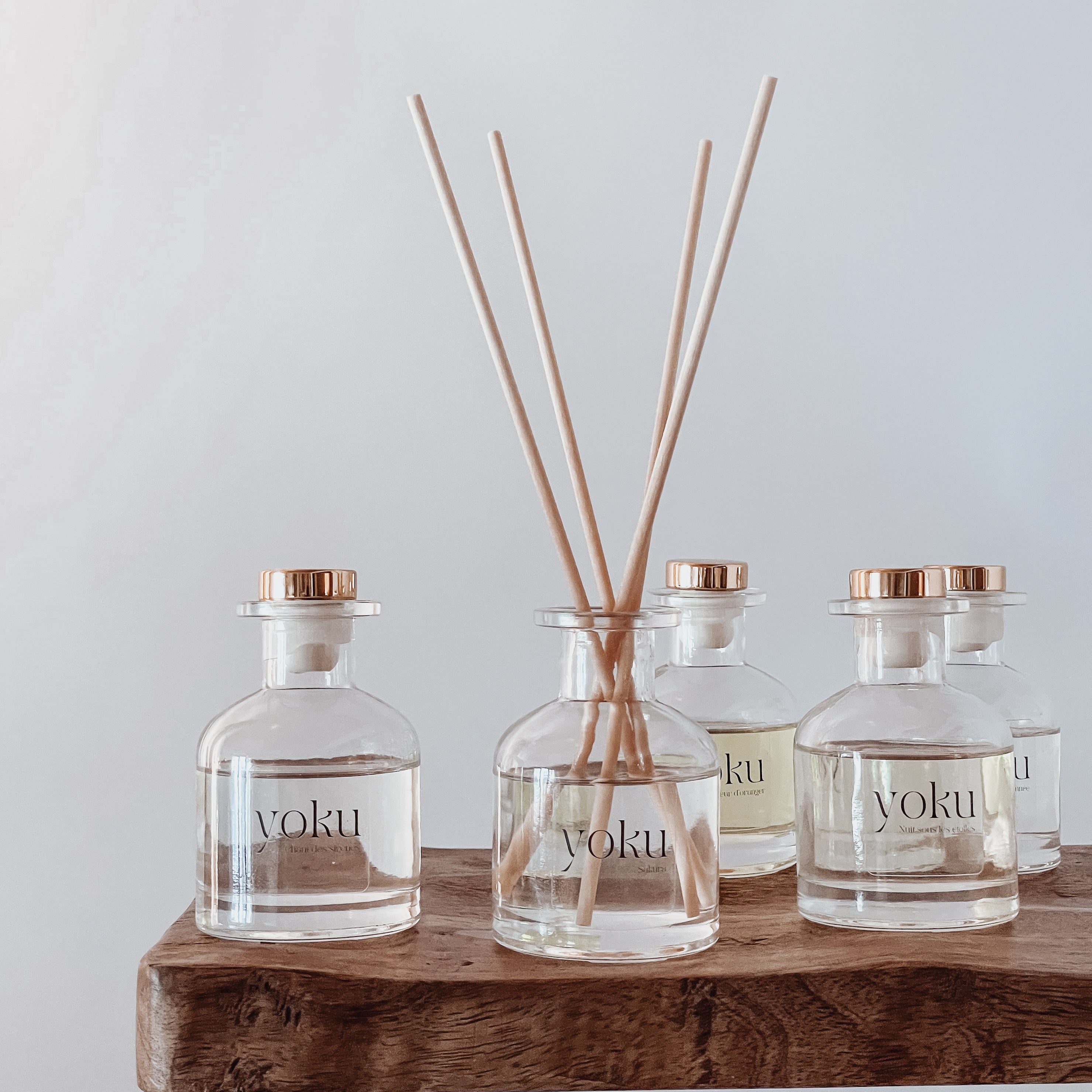 Diffuseur de parfum - 100ML