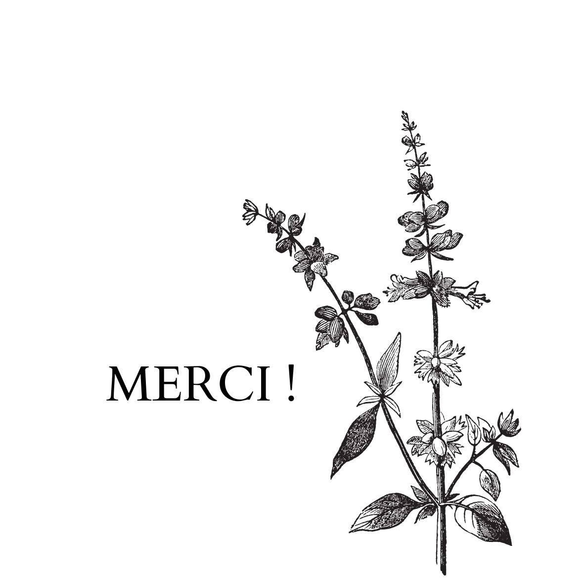Message personnalisé sur le couvercle