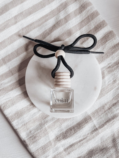 Hanging car diffuser