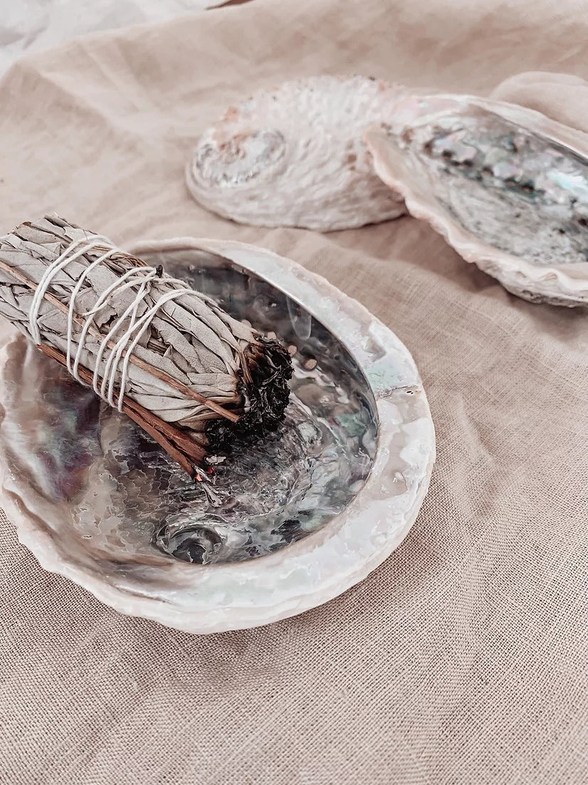 Coquille d'Ormeau Naturelle